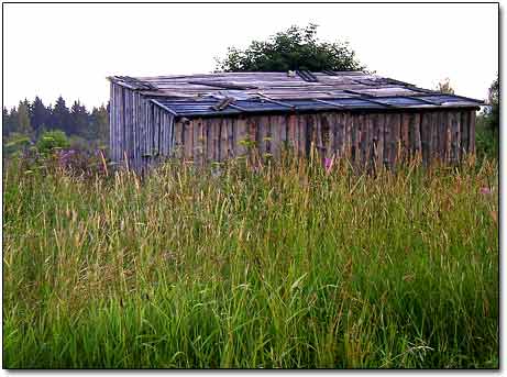 Tool Shed