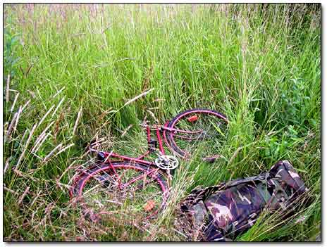 My Gear Sheltered by Tall Grass