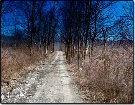 dirt Road to State Forest