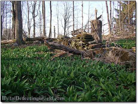 Unusual Vegetation