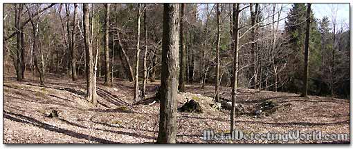 Site of 19th Century Homestead