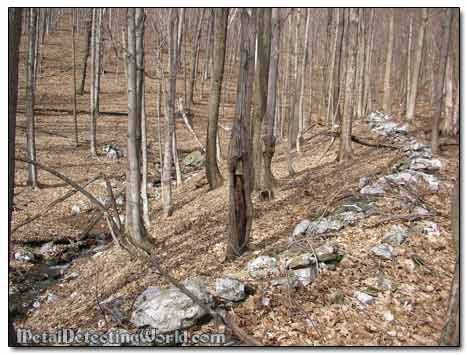 Old Stone Wall Runs Through the Woods