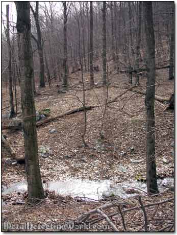 Homestead Site Across the Creek