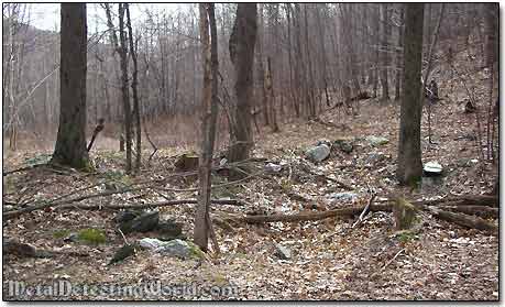 Foundation and Cellar Hole Remains