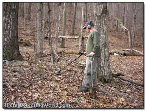 Rodney Metal Detecting