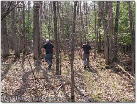 Scouting in the Forest