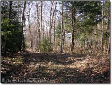 Treasure Hunting the Dirt Road