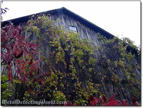 Barn Wall Vegetation