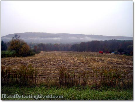 Old Corn Field