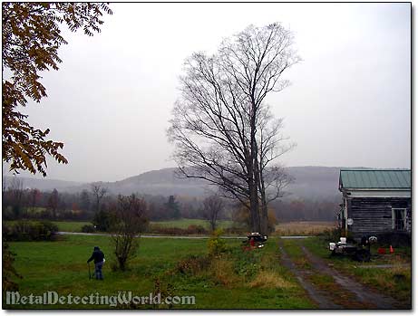 Metal Detecting