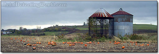 Pumpkin Patch