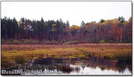 Late Fall Autumn in Upstate New York