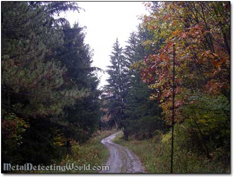 The Only Path Through State Forest