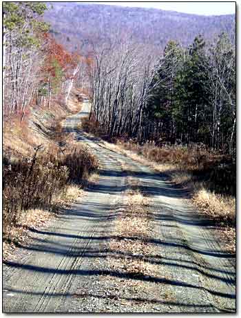 Old Colonial Road