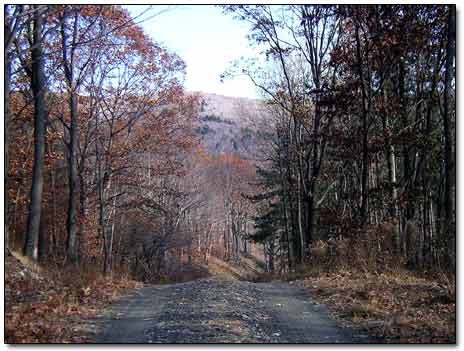 In the Taconic Mountains