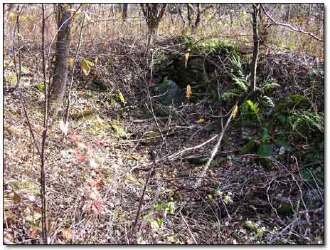 Colonial Root Cellar 