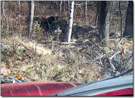 Root Cellar Visible from the Car