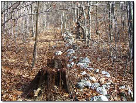 Stone Wall Remains