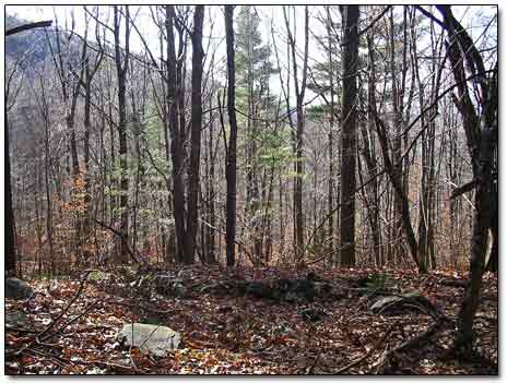 Colonial Cellar Hole Remains