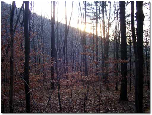 Sunset in the Taconic Mountains