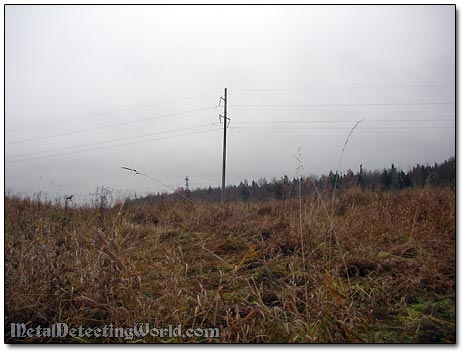 Metal Detecting Through Tall Grass