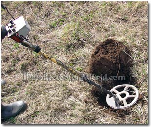 Metal Detecting Coins with Tesoro Cortes