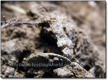 Small Copper Coin Was Dug Up