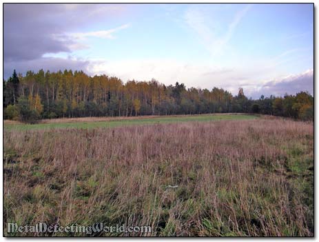 Metal Detecting Grassy Patch