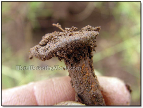 Rusty Square Nail Unearthed