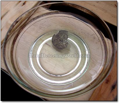 Soaking Silver Coin in Lemon Acid Juice