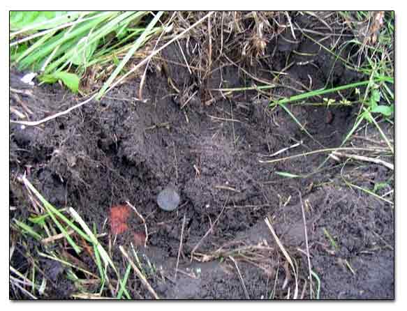 Russian Copper Imperial Coin Unearthed