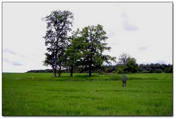 Site Of Few Homesteads