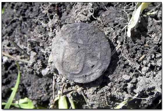 Swedish 1636 Half Ore Coin