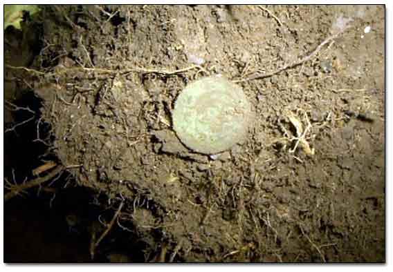 Russian 1757 1 Denga Coin Dug