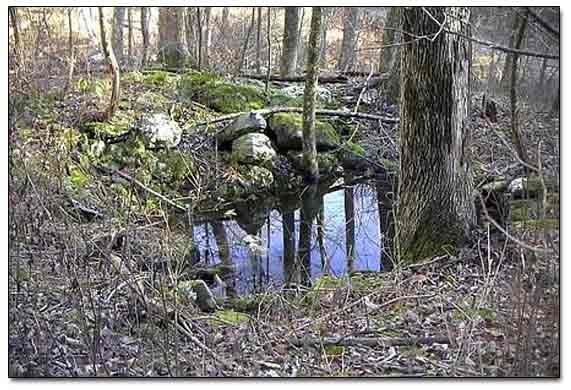 Remains Of A Cellar Hole