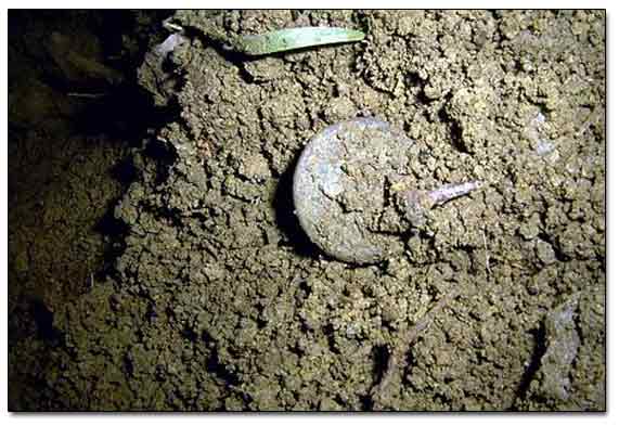 Large Cent I Just Dug Up