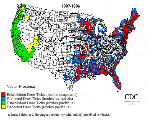 Deer Tick Vector Presence in USA