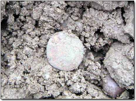 Medieval Coin in Dirt