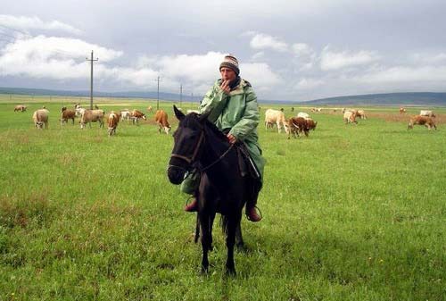 Local Shepherd Boy, Siberia