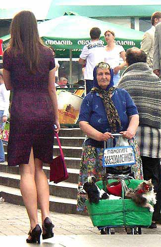 Babushka with Cats, Ukraine