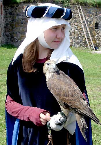 A Medieval Falconry Hunter
