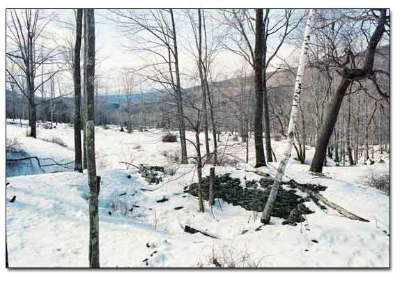 Root Cellar Holes Are Visible