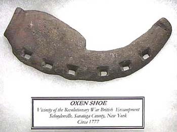 Oxen Shoe