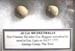 musket balls