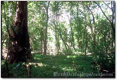 Spot Where a King George II Copper Was Found