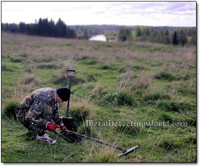 Searching for Coin Cache on Undisturbed Ground