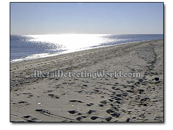 Dry Sand Beach Hunting