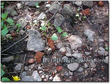 Brick Fragments Scattered on Abandoned Road