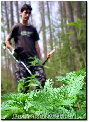 Metal Detecting around Stinging-Nettle Plants