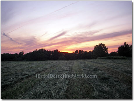 Metal Detecting Site